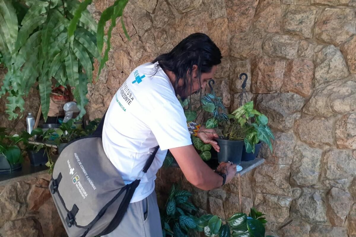Agente de combate a endemias verifica prato de planta durante vistoria contra a dengue em BH