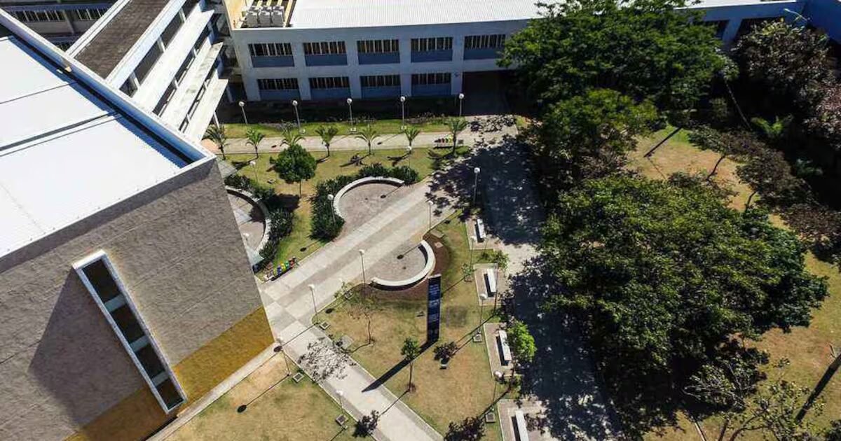 Tentativa de roubo de carro termina com perseguição e invasão de mata na UFMG em Belo Horizonte