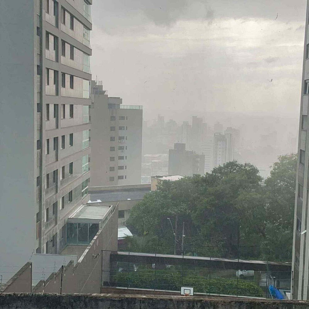 Temporal com ventania derruba árvores e deixa bairros sem luz em BH
